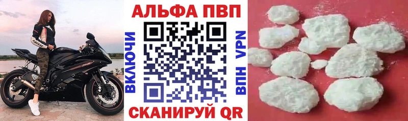 Купить Гуково А ПВП СК КРИС