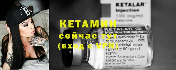 прущие грибы Каменск-Шахтинский