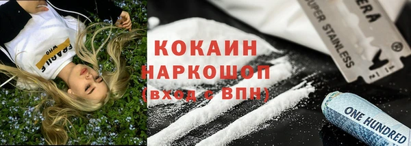 прущие грибы Каменск-Шахтинский