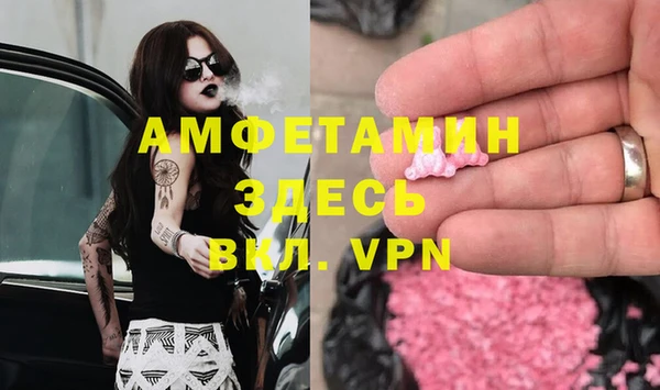 прущие грибы Каменск-Шахтинский